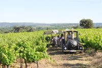Domaine Alexandrin &copy; Domaine Alexandrin