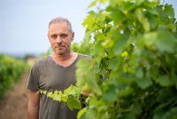 Vigneron © Concours des Vins de la Vallée de l'Hérault