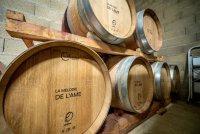 barrique © Concours des vins de la Vallée de l'Hérault