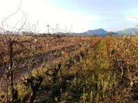 domaine de la barthassade 8 &copy; domaine de la barthassade aniane
