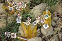 les huiles aromatis&eacute;es &copy; Laure Chachuat