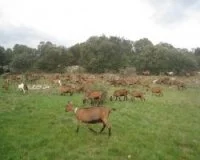 minic38 &copy; LA FERME DE LHORTS