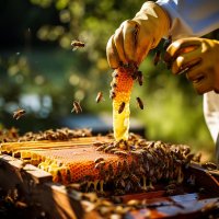 gros-plan-apiculteur-collectant-du-miel © freepick