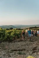 whatsapp_image_2025-02-17_a_16_12_27_d5e443ca &copy; @ch&acirc;teaubas