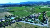 34G26711 - Domaine Condamines - Picholine_2 &copy;Relai G&icirc;tes de France H&eacute;rault