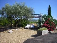 34G26711 - Domaine Condamines - Picholine_4 &copy;Relai G&icirc;tes de France H&eacute;rault