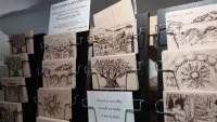 cartes postales en bois- L'ilot boutique- micropanorama- saint-guilhem-le-d&eacute;sert &copy; Micropanorama-Dude