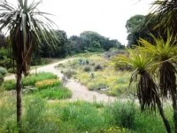 jardindebezombes (2) &copy; jardin de bezombes