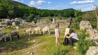 rando-en-famille-avec-un-ane-dans-la-bueges-64-gilles-delerue-adt-34 &copy; Gilles Delerue - H&eacute;rault Tourisme